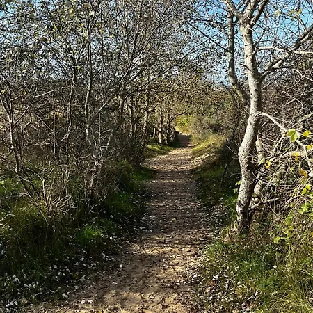 In Oostduinkerke Koksijde