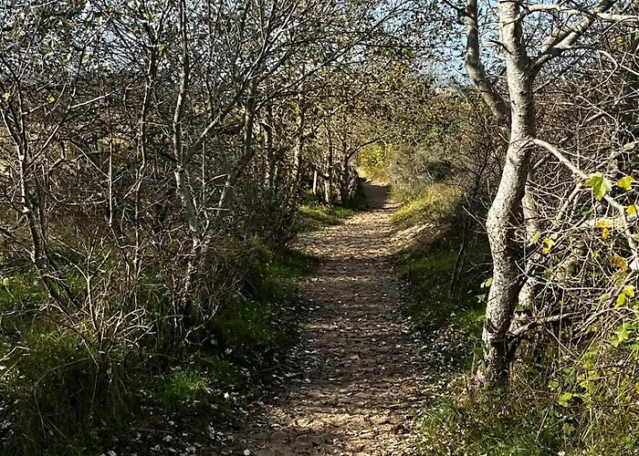 In Oostduinkerke Koksijde